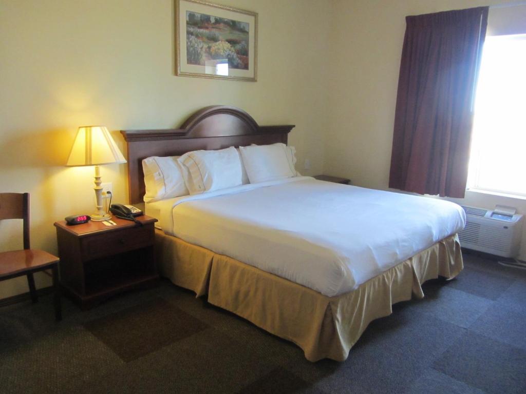 Reddy Hotel Plainview Rum bild