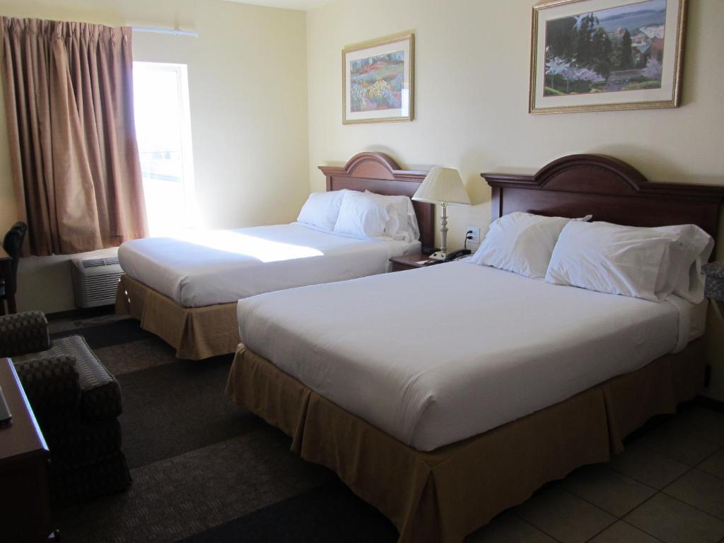Reddy Hotel Plainview Rum bild